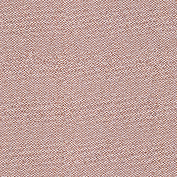 camira-era-cse23.jpg